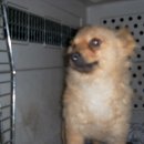 삼일주유소 이미지