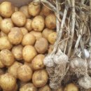 알뜰 농장 이미지