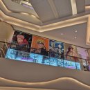 로맨스 다육 | 가족여행 갔어요. 상하이로.