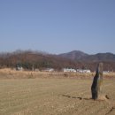 진주 대천리 입석 이미지