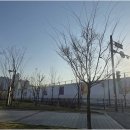 역북서희공인중개사사무소 | 역북서희스타힐스프라임시티에서 완벽한 부동산 거래를 경험하세요!
