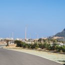 개화전기충전소 | 제주 성산 유채꽃 개화 상태 실시간 🌼 일주일만에 재방문후기 -지금 가도 될까?(주차·입장료·인생샷...