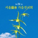 청향 이미지