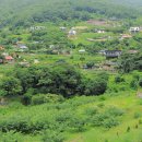 판수농장 이미지