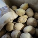 혜주농장 이미지