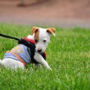 개신농장 이미지