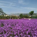 영천전통문화체험관 이미지