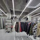 홍대구제샵 빈티지샵 보풀 제거까지 끝낸 케어에 진심인 도조&amp;만쥬