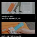 더나은펫샵 | [공지] 베트남에서 한국으로 강아지 데리고 입국하기 (다낭-인천) , 광견병항체검사, 영종도 계류장