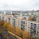 압구정-113 이미지