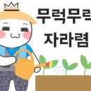 응애농원 이미지
