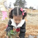 해맑은2농장 Daum카페