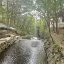 논배동산