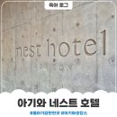 돌 아기와 네스트 호텔 벙커룸 후기