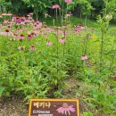 미사뚝방산책로 이미지