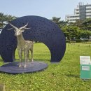 수정위례-A-35 이미지