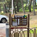 폴라리스야영장 | [경북울진 오션뷰캠핑장]캠린이 첫 캠핑_해빛뜰야영장