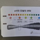 나래헤어메이크업