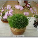 창녕초등학교 이미지