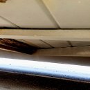 정일파크 이미지