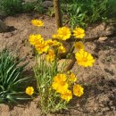 곰배령 팜스테이 이미지