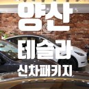 코리아언더독 | 양산 테슬라 신차패키지 샵을 찾고 계셨나요? 테슬라 맛집 김해 언더독이 있습니다.