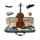 바이올린(중급) 이미지