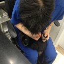 광명시티동물병원 이미지