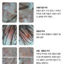 멘토의원 이미지