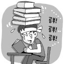 경북세무고등학교 | 고교 다양화시대 전기고,특목고,후기고 입시 일정