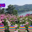 딩동댕발전소 이미지