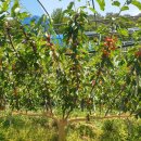 동건농장 이미지