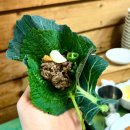 자연주의쌈밥 | 일산 풍동 맛집 '잎새' 엄마와 쌈밥 데이트~