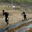 태산농장 이미지