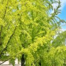 농도원1길 이미지