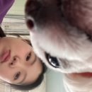 양귀비한의원 | 때려쳐?/소소한 직장생활/퇴사맨의 행복한 외박파티/상동호수공원 식물원 수피아