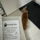 종이책갈피 작은도서관 이미지