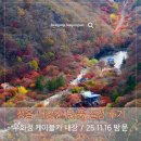 내장산 | 정읍 내장산 단풍 절정 후기 우화정 케이블카 내장 / 25.11.16 방문