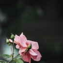 박영길 휘트니스 이미지