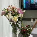 밀라 | 대전 유성구 꽃집) 기념일날 가성비 좋은 예쁜꽃다발 '밀라플로라' 후기