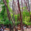 솔밭집 - 서구 암남공원로 252 | 솔밭집