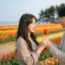 태안군민체육관 매점 | 2026 태안 튤립축제 일정 및 예매 할인 총정리 (코리아플라워파크 입장권)