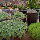 혜란농장 이미지