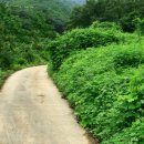 뽕이랑 귀농이랑 이미지