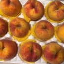 광인농장 이미지