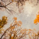 동남아파트 이미지