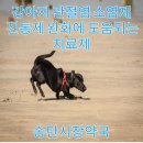 송탄시장약국 이미지