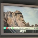 비타민(VITAMIM) | 부산에서 보내는 20대의 마지막 생일 (˵ •ᴗ• ˵)♡