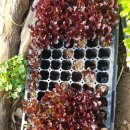 현재농장 이미지