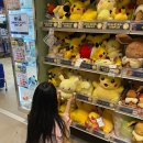 유한회사 앤디여행사 | 일본 여름 삿포로 여행_클룩 비에이 투어(유투어)_4